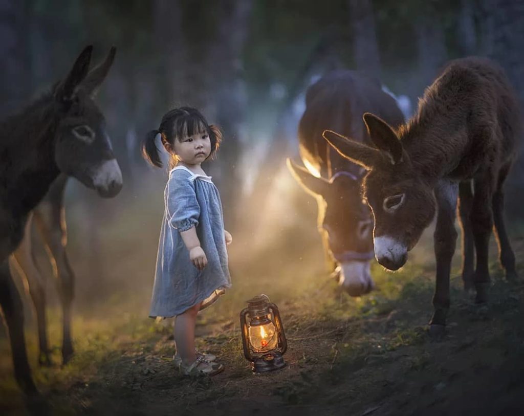 elena_shumilova елена шумилова лучшие детские фотографы инстаграма из России 2019